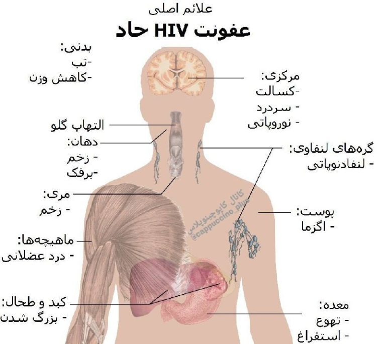 درباره این مقاله بیشتر بخوانید روز جهانی ایدز و ایمنی های مهم