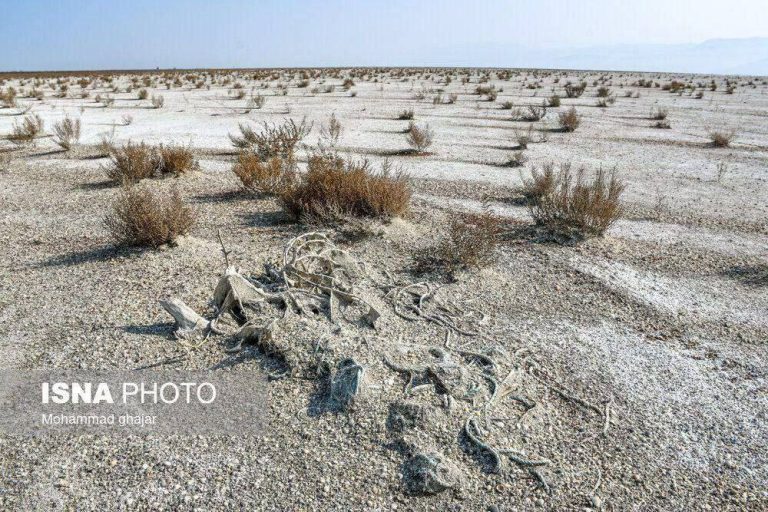 درباره این مقاله بیشتر بخوانید 📸 تصاویر باور نکردنی از بیابانی شدن میانکاله