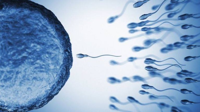 درباره این مقاله بیشتر بخوانید کاهش کیفیت اسپرم مردان ، نتایج تحقیقات جهانی نشان می‌دهد
