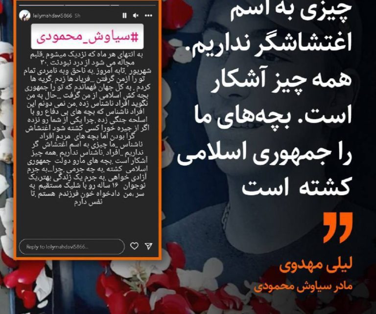 درباره این مقاله بیشتر بخوانید لیلی مهدوی، مادر سیاوش محمودی، از کشته‌شدگان در اعتراضات، نوشته است: «اگر از جیره‌خوارها کسی کشته شود، اغتشاشگران بودند. اما بچه‌های مردم، افراد ناشناس… ما چیزی به اسم اغتشاشگر نداریم، افراد ناشناس نداریم. همه چیز آشکار است. بچه‌های ما را دولت جمهوری اسلامی کشته».