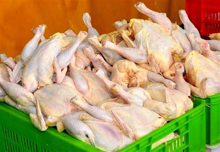 درباره این مقاله بیشتر بخوانید ‼️مبادله کالا به کالا برای خرید مرغ!/ چشم دولت محرومان روشن!