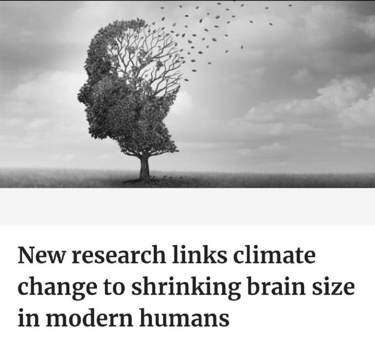 درباره این مقاله بیشتر بخوانید مغز انسان با تغییرات آب و هوایی کوچک شده است!