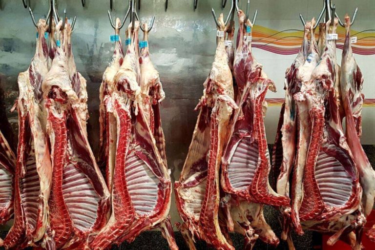 درباره این مقاله بیشتر بخوانید گوشت قرمز ایران در عمان/ ایران به دنبال گوشت کنیایی و پاکستانی!