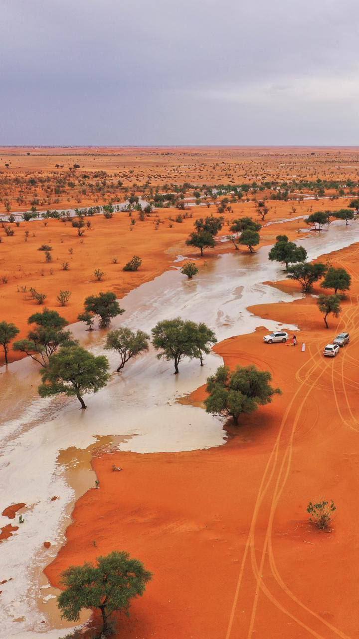 درباره این مقاله بیشتر بخوانید 📸 بیابان‌های عربستان در حال تبدیل شدن به جنگل است.