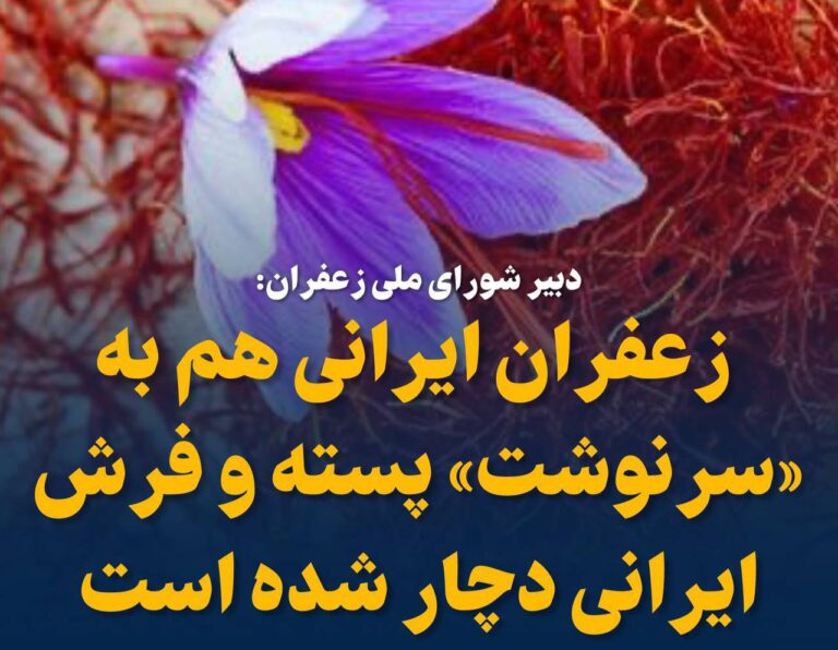 درباره این مقاله بیشتر بخوانید ❗️ یک مقام صنفی: زعفران ایرانی هم به «سرنوشت» پسته و فرش ایرانی دچار شده است