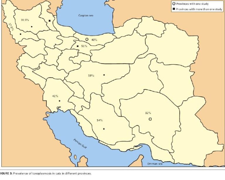 درباره این مقاله بیشتر بخوانید گربه‌‌ های ایرانی چگونه سلامت و آینده‌ی کشور را تهدید می‌کنند؟