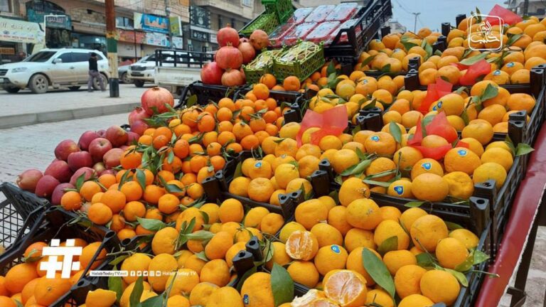 درباره این مقاله بیشتر بخوانید 🔴روزنامه الوطن سوریه: