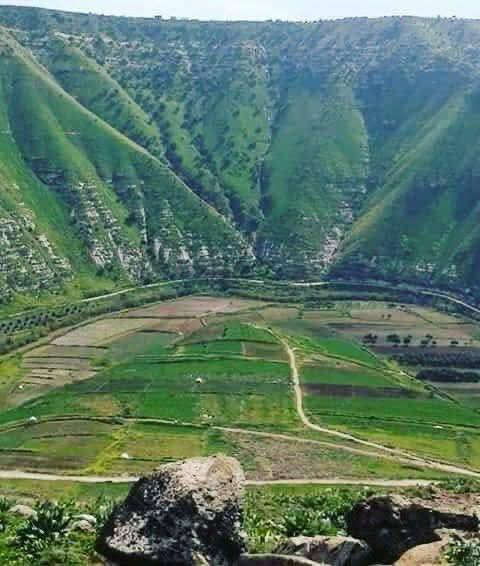 درباره این مقاله بیشتر بخوانید 🔴جلسه ارتش اسرائیل با سران روستای کویا در استان درعا