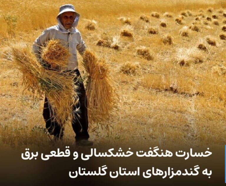 درباره این مقاله بیشتر بخوانید خسارت هنگفت خشکسالی و قطعی برق به گندمزارهای استان گلستان