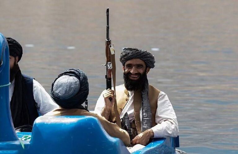 درباره این مقاله بیشتر بخوانید حکومت احمق ها