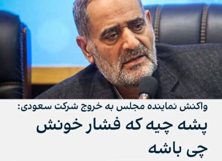 درباره این مقاله بیشتر بخوانید 🔵 ‏کاری به این ادبیات ندارم!