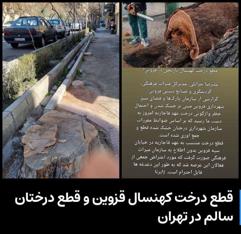 درباره این مقاله بیشتر بخوانید قطع درختان تاریخی و قدیمی در شهرهای ایران، از جمله قزوین و تهران، واکنش‌ها و اعتراضاتی را به همراه داشته است.
