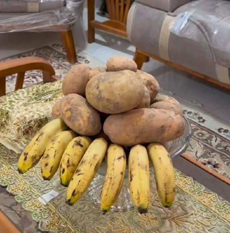 درباره این مقاله بیشتر بخوانید دیکتاتوری که روزی میخواست خودکفا شود تبدیل به وارد کننده سیب زمینی شد!!