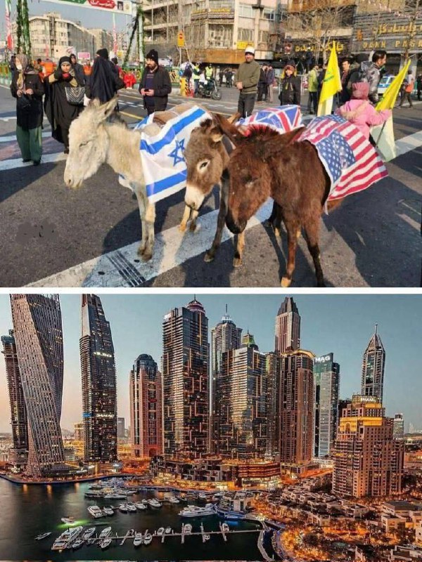 درباره این مقاله بیشتر بخوانید 🔵 ‏عکس بالایی، شمال خلیج فارس