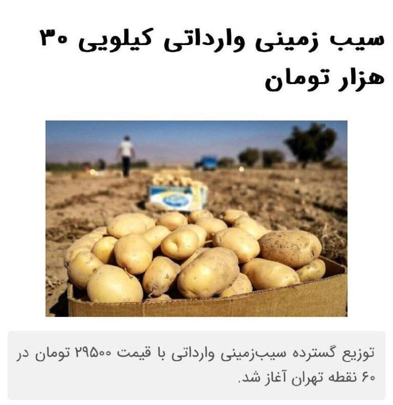 درباره این مقاله بیشتر بخوانید حکومت احمق ها