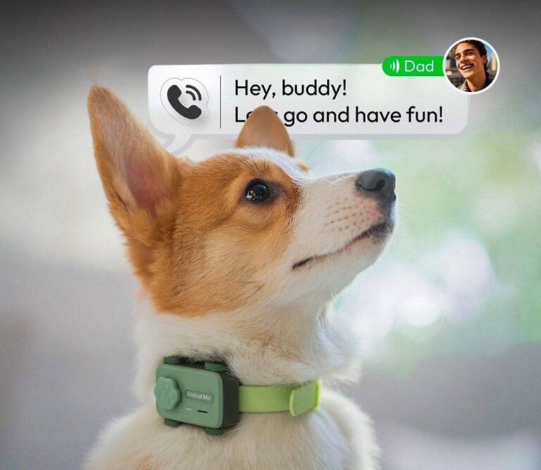 درباره این مقاله بیشتر بخوانید اولین گوشی هوشمند مخصوص حیوانات خانگی معرفی شد !