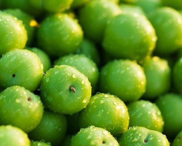 درباره این مقاله بیشتر بخوانید قیمت هر کیلو گرم گوجه سبز هم ابتدای فروردین حدود ۱۱ میلیون تومان بود و هنوز هم قیمت این میوه نوبرانه کاهش نیافته و با نرخ‌های بسیار زیاد به شکل محدود، فقط در برخی مناطق عرضه و به فروش می‌رسد.