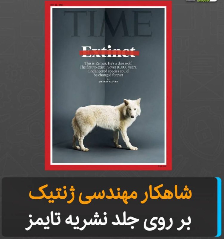 درباره این مقاله بیشتر بخوانید شاهکار مهندسی ژنتیک بر روی جلد نشریه تایمز