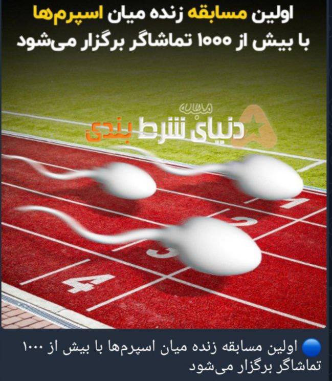 درباره این مقاله بیشتر بخوانید شرط بندی جذاب روی اولین مسابقه اسپرم جهان!!