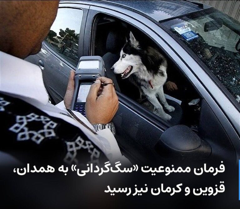درباره این مقاله بیشتر بخوانید ممنوعیت «سگ‌گردانی» به همدان، قزوین و کرمان نیز رسید
