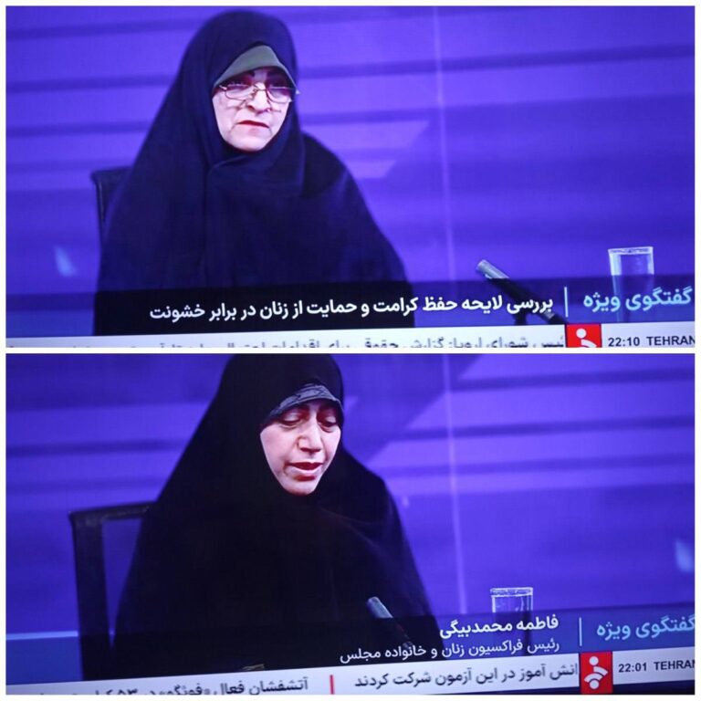 درباره این مقاله بیشتر بخوانید دولت، لایحه حمایت از زنان رو داده به مجلس، مجلس لایحه رو به کل تغییر داده و تبدیل به تکالیف زنان و کرامت زن در خانواده شده است. دولت نپذیرفته، و لایحه رو مسترد کرده. این دو خانم نماینده را هم آوردن صدا و سیمای جلیلی و جبلی، بر علیه لایحه دولت صحبت میکنن، یعنی علیه زنان!