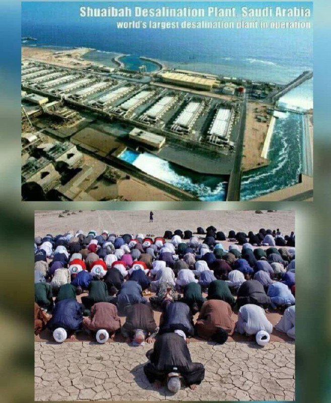 درباره این مقاله بیشتر بخوانید این تصویر وایرال شده