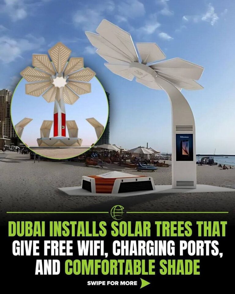 درباره این مقاله بیشتر بخوانید دبی برای مردمش نخل های مصنوعی هوشمند ساخته!