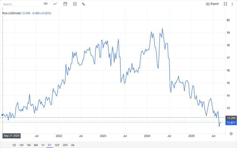 درباره این مقاله بیشتر بخوانید نمودار قیمت جهانی برنج هست که برگشته به سال 2020 برگشته قیمت جهانی اما در ایران به کیلویی 300 هزارتومان رسیده و 6 برابر شده.