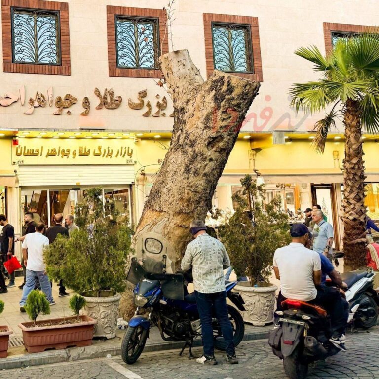 درباره این مقاله بیشتر بخوانید 🔴 بریدن درخت قدیمی و تنومند بازار _ خیابان ۱۵ خرداد تهران، به دلایلی نامعلوم!
