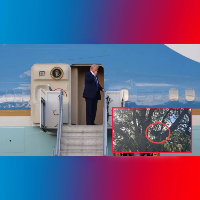 درباره این مقاله بیشتر بخوانید 🔻🔺فاکس نیوز: کشف یک جایگاه شکار مشکوک با دید مستقیم به محل خروج ترامپ از هواپیمای ریاست جمهوری توسط سرویس مخفی ایالات متحده