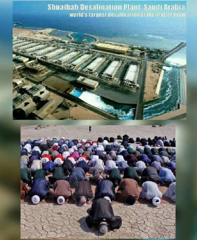 درباره این مقاله بیشتر بخوانید تصویر بالا؛