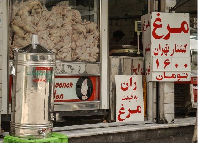 درباره این مقاله بیشتر بخوانید این عکس سال ۹۴ هست