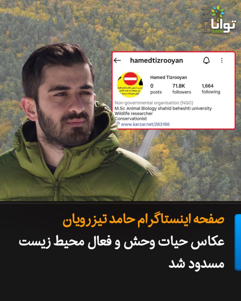 درباره این مقاله بیشتر بخوانید بهجای مهار آتشسوزی در جنگلهای هیرکانی، پلیس صفحه اینستاگرام حامد تیزرویان را مسدود کرد